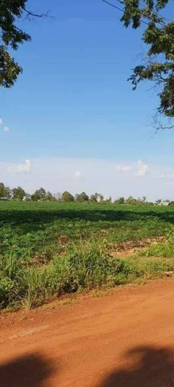 ขายที่ดินทำเลดี บรรยากาศธรรมชาติ เจ้าของขายเอง ราคาต่อได้ อำเภอเบญจ​ลักษณ์​ . จังหวัดศรีสะเกษ​