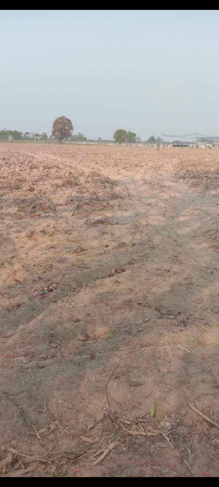 ขายที่ดินทำเลดี บรรยากาศธรรมชาติ เจ้าของขายเอง ราคาต่อได้ อำเภอเบญจ​ลักษณ์​ . จังหวัดศรีสะเกษ​