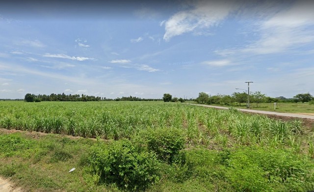 ขายที่ดินทำเลดี เจ้าของขายเอง เป็นการลงทุนที่คุ้มค่า  ตำบลพงตึก อำเภอท่ามะกา จังหวัดกาญจนบุรี 