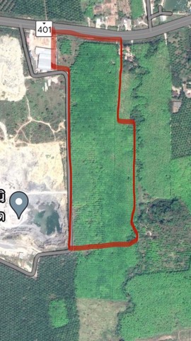 ขายที่ดินพร้อมสวนยางพารา เจ้าของขายเอง ตำบลบ้านทำเนียบ อำเภอคีรีรัฐนิคม สุราษฎร์ธานี