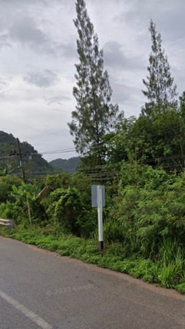 ขายที่ดินพร้อมสวนยางพารา เจ้าของขายเอง ตำบลบ้านทำเนียบ อำเภอคีรีรัฐนิคม สุราษฎร์ธานี