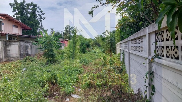 ขายที่ดินทำเลดี เอกสารโฉนด พร้อมโอน ไฟฟ้าพร้อม อำเภอเขาย้อย จังหวัดเพชรบุรี