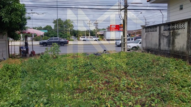 ขายที่ดินทำเลดี เอกสารโฉนด พร้อมโอน ไฟฟ้าพร้อม อำเภอเขาย้อย จังหวัดเพชรบุรี