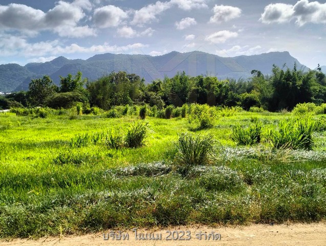 ขายที่ดินพื้นงามเป็นโฉนดทั้งหมดติดแม่น้ำ ทำเลติดเทศบาลน้ำตกไทรโยคน้อยตลาดสดห้างบิ๊กซีโลตัสซีเจเซเว่น 2 แห่งติดแหล่งท่องเที่ยว