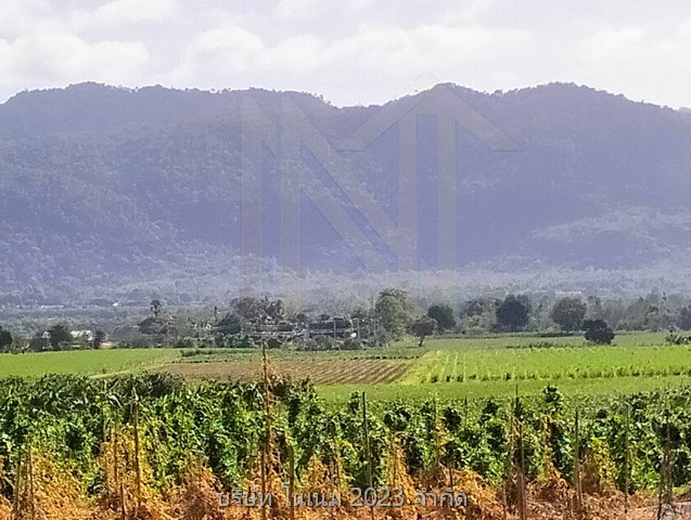 ขายที่ดินพื้นงามเป็นโฉนดทั้งหมดติดแม่น้ำ ทำเลติดเทศบาลน้ำตกไทรโยคน้อยตลาดสดห้างบิ๊กซีโลตัสซีเจเซเว่น 2 แห่งติดแหล่งท่องเที่ยว