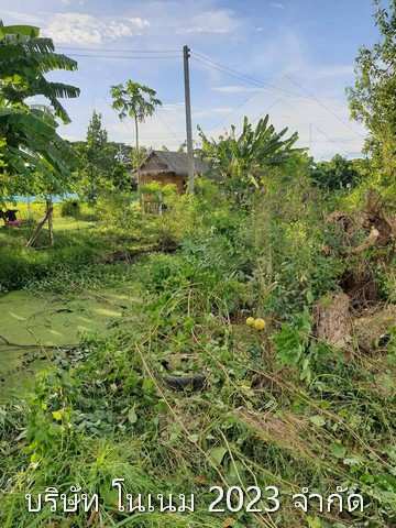 ขายที่ดินพร้อมบ้านสวน  1 ไร่ เจ้าของขายเอง ตำบลห้วยขวาง อำเภอกำแพงแสน จังหวัดนครปฐม