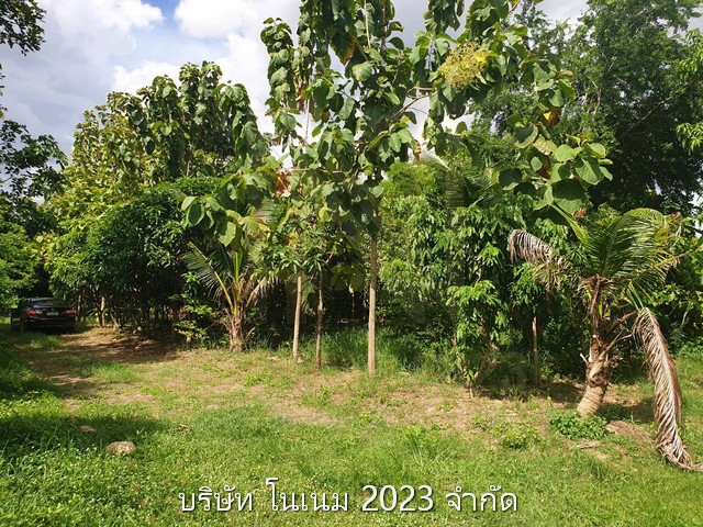 ขายที่ดินพร้อมบ้านสวน  1 ไร่ เจ้าของขายเอง ตำบลห้วยขวาง อำเภอกำแพงแสน จังหวัดนครปฐม