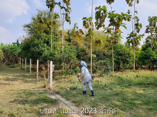 ขายที่ดินพร้อมบ้านสวน  1 ไร่ เจ้าของขายเอง ตำบลห้วยขวาง อำเภอกำแพงแสน จังหวัดนครปฐม