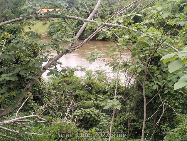 ขายที่ดินผืนงามติดแม่น้ำ เป็น น.ส.3ก. อยู่ในเขตเทศบาลใกล้น้ำตกไทรโยคน้อยและตลาดน้ำตกไทรโยคน้อยมีแหล่งท่องเที่ยวโดยรอบ กาญจนบุรี