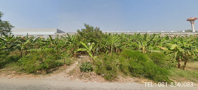 ขายที่ดิน ติดถนนแสงชูโตขาเข้ากรุงเทพ   อำเภอท่ามะกา กาญจนบุรี