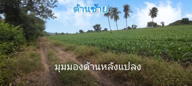 ขายที่ดิน ลพบุรี ชัยบาดาล วิวภูเขาสวยๆ ตำบลใหม่สามัคคี อำเภอชัยบาดาล จังหวัดลพบุรี 