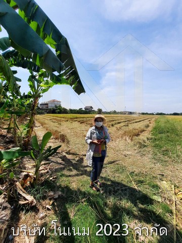 ขายที่ดินทำเลดี เจ้าของขายเอง ราคาต่อรองได้  ตำบลสามวาตะวันออก อำเภอคลองสามวา จังหวัดกรุงเทพมหานคร