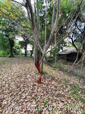 ขายที่ดินทำเลดี เจ้าของขายเอง ราคาต่อรองได้  ตำบลสามวาตะวันออก อำเภอคลองสามวา จังหวัดกรุงเทพมหานคร