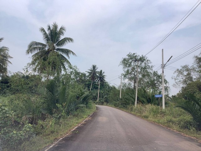 ขายที่ดินเหมาะสร้างบ้าน สร้างคาเฟ่ 