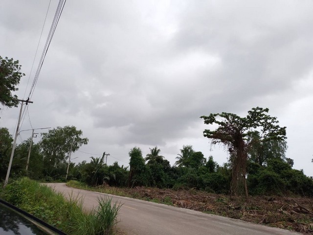 ขายที่ดินเหมาะสร้างบ้าน สร้างคาเฟ่ 