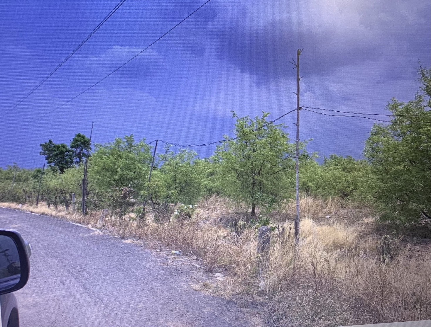 ขายที่ดิน  5 ไร่ 48.8 ตารางวา  หมาะสำหรับทำบ้านสวน หรือรีสอร์ท ในตัวเมืองเพชรบูรณ์ 