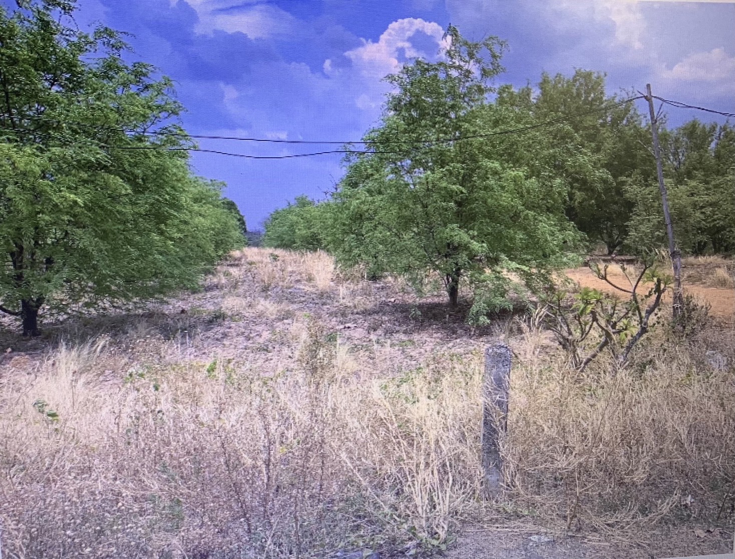 ขายที่ดิน  5 ไร่ 48.8 ตารางวา  หมาะสำหรับทำบ้านสวน หรือรีสอร์ท ในตัวเมืองเพชรบูรณ์ 