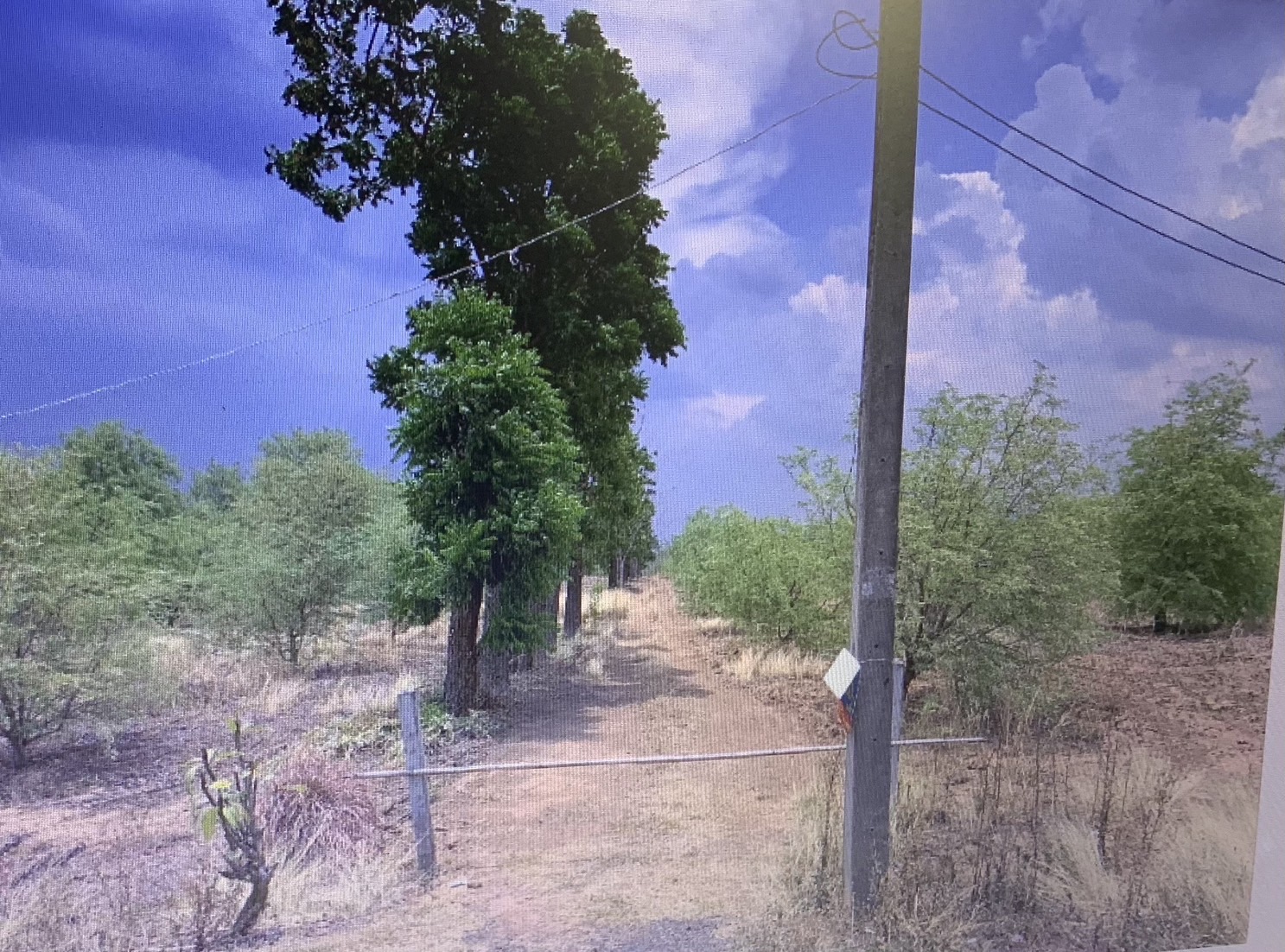 ขายที่ดิน  5 ไร่ 48.8 ตารางวา  หมาะสำหรับทำบ้านสวน หรือรีสอร์ท ในตัวเมืองเพชรบูรณ์ 