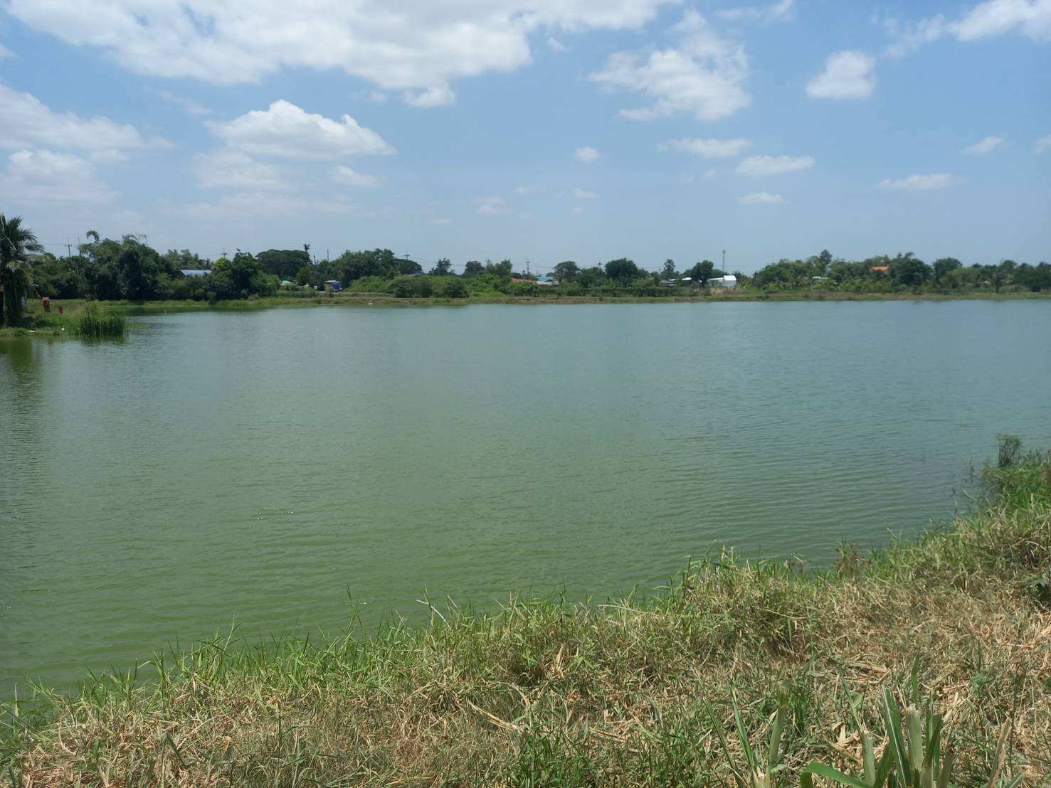 ขายที่ดิน เป็นบึงน้ำ วิวสวย18 ไร่ เจ้าของขายเอง  ตำบลสัมปทวน อำเภอนครชัยศรี จังหวัดนครปฐม