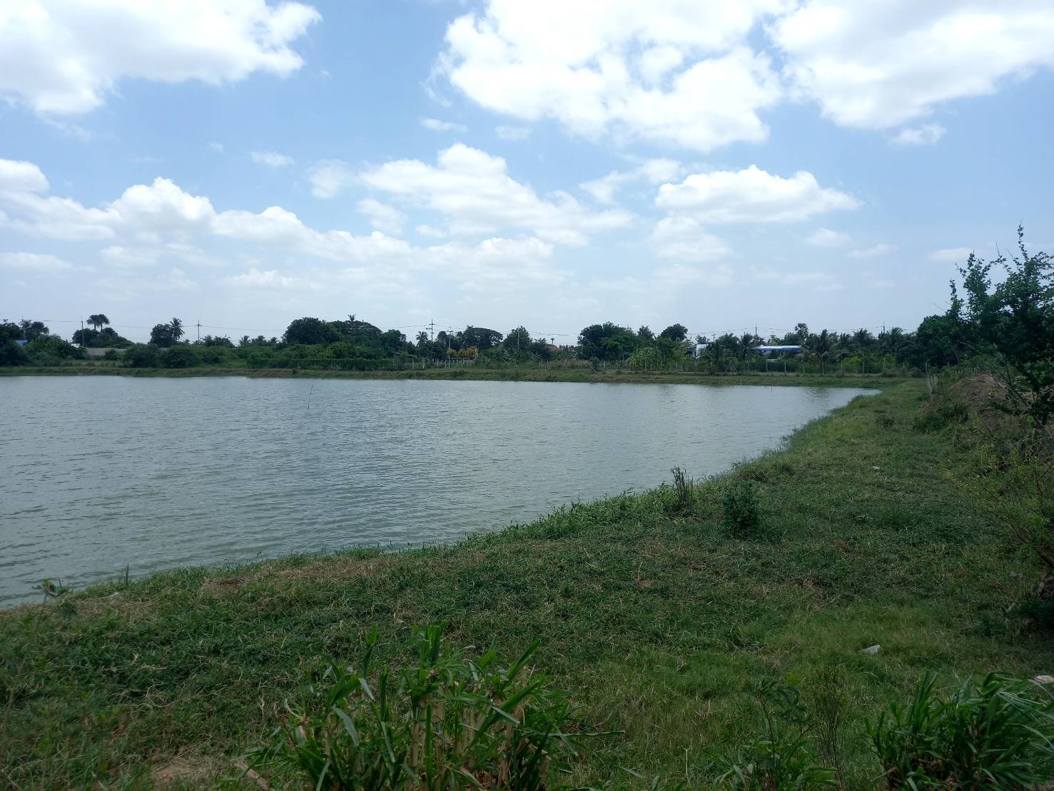 ขายที่ดิน เป็นบึงน้ำ วิวสวย18 ไร่ เจ้าของขายเอง  ตำบลสัมปทวน อำเภอนครชัยศรี จังหวัดนครปฐม