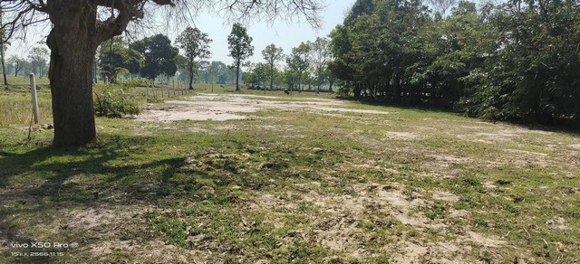 ขายที่ดินทำเลดี  เนื้อที่  1ไร่ ราคาถูกเจ้าของขายเอง ตำบลหนองฉลอง อำเภอขุขันธ์ จังหวัดศรีสะเกษ 