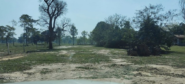 ขายที่ดินทำเลดี  เนื้อที่  1ไร่ ราคาถูกเจ้าของขายเอง ตำบลหนองฉลอง อำเภอขุขันธ์ จังหวัดศรีสะเกษ 