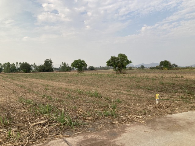 ขายที่ดินแหล่งธรรมชาติ เจ้าของขายเอง ตำบลรางสาลี่  อำเภอท่าม่วง จังหวัดกาญจนบุรี 