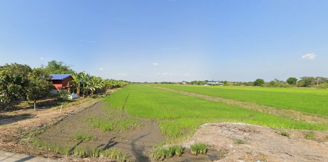 ขายที่ดิน 17 ไร่ 23.6 ตารางวา เจ้าของขายเอง ตำบลลาดหลุมแก้ว อำเภอลาดหลุมแก้ว จังหวัดปทุมธานี 