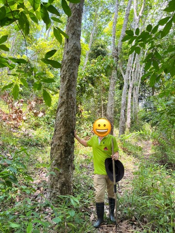 ให้เช่าดินทำเลดี ติดถนนใหญ่ เนื้อที่ 8 ไร่�อ่อนนุช แขวงสวนหลวง เขตสวนหลวง กรุงเทพมหานคร