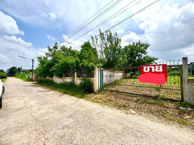 ขายที่ดิน ทำเลดี เหมาะสำหรับสร้างบ้าน ทำที่อยู่อาศัย  ตำบลกาฬสินธุ์ อำเภอเมือง จ.กาฬสินธุ์