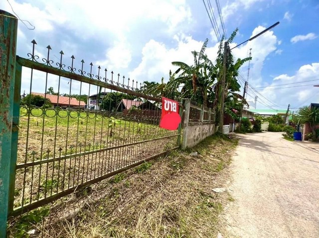 ขายที่ดิน ทำเลดี เหมาะสำหรับสร้างบ้าน ทำที่อยู่อาศัย  ตำบลกาฬสินธุ์ อำเภอเมือง จ.กาฬสินธุ์