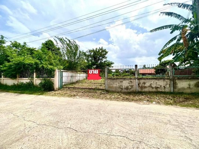 ขายที่ดิน ทำเลดี เหมาะสำหรับสร้างบ้าน ทำที่อยู่อาศัย  ตำบลกาฬสินธุ์ อำเภอเมือง จ.กาฬสินธุ์