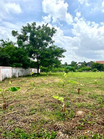 ขายที่ดิน ทำเลดี เหมาะสำหรับสร้างบ้าน ทำที่อยู่อาศัย  ตำบลกาฬสินธุ์ อำเภอเมือง จ.กาฬสินธุ์