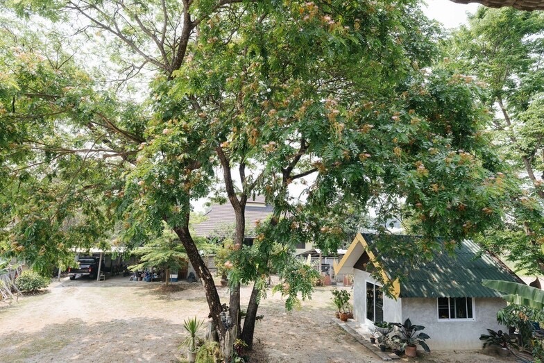 ขายบ้านเดียวพร้อมที่ดินทำเลทอง  เจ้าของขายเอง