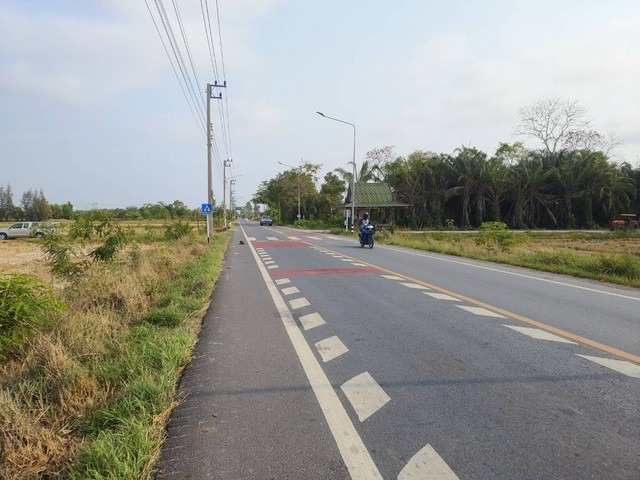 ขายที่ดินลำลูกกา  43 ไร่ เหมาะทำโรงงาน โกดัง หมู่บ้านจัดสรร ตำบลพืชอุดม  อำเภอลำลูกกา จังหวัดปทุมธานี