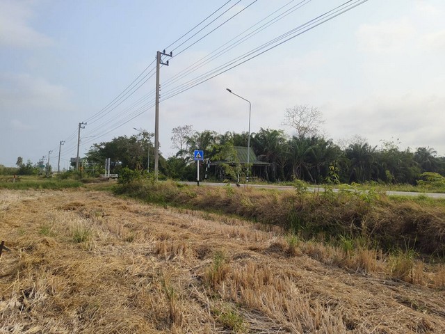 ขายที่ดิน เจ้าของขายเอง แบ่งแปลงเริ่มต้น  2 ไร่ ตำบลพืชอุดม อำเภอลำลูกกา จังหวัดปทุมธานี