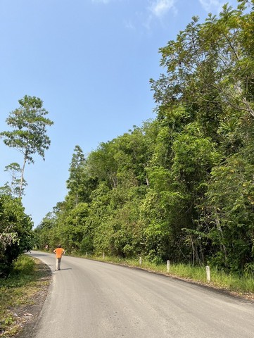 ขายที่ดิน 7 ไร่ 1 งาน 50.7 ตารางวา