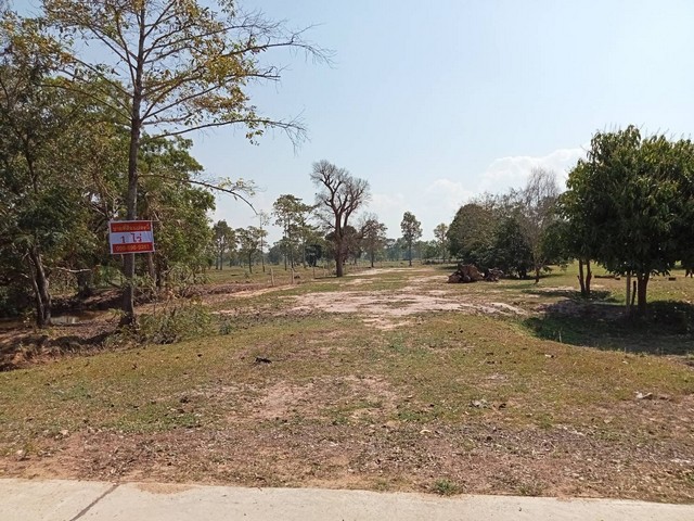 ขายที่ดินทำเลดี  เนื้อที่  1ไร่ ราคาถูกเจ้าของขายเอง