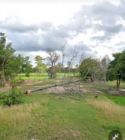 ขายที่ดินทำเลดี  เนื้อที่  1ไร่ ราคาถูกเจ้าของขายเอง