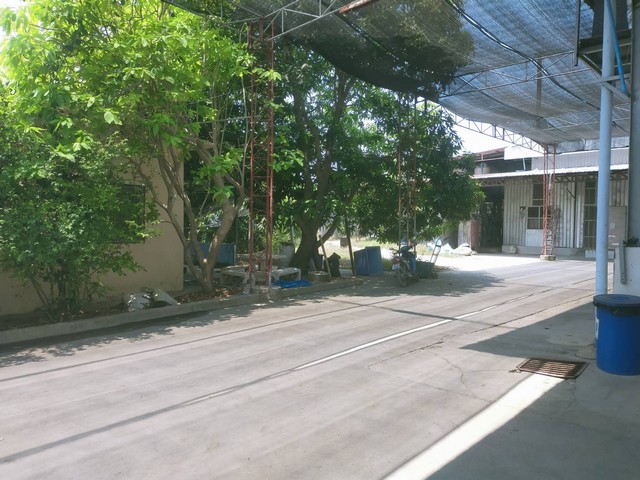 ขายที่ดิน โรงงาน กิจการ พร้อมดำเนินกิจการต่อได้ เจ้าของขายเอง ตำบลสัมปทวน อำเภอนครชัยศรี นครปฐม