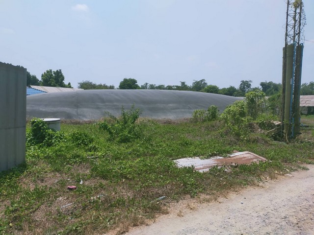 ขายที่ดิน โรงงาน กิจการ พร้อมดำเนินกิจการต่อได้ เจ้าของขายเอง ตำบลสัมปทวน อำเภอนครชัยศรี นครปฐม