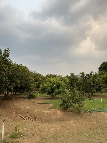 ขายที่ดินติดแม่น้ำ ติดแม่น้ำแคว เหมาะสำหรับทำ รีสอร์ท ที่พักตากอากาศ จังหวัดกาญจนบุรี