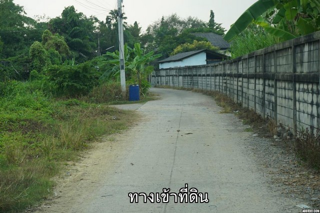 ขายที่ดินติดแม่น้ำท่าจีน 3 ไร่ 98 ตารางวา เจ้าของขายเอง ตำบลท่าข้าม อำเภอสามพราน นครปฐม