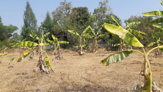 ขายที่ดินถมแล้ว  120 ตารางวา เทศบาลนครขอนแก่น อำเภอเมืองขอนแก่น จังหวัดขอนแก่น