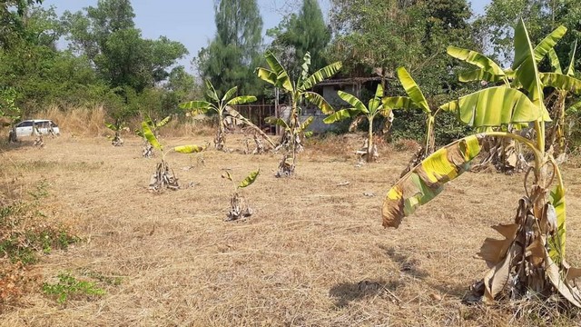 ขายที่ดินถมแล้ว  120 ตารางวา เทศบาลนครขอนแก่น อำเภอเมืองขอนแก่น จังหวัดขอนแก่น