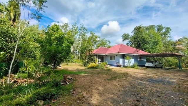 ขายที่ดินพร้อมบ้าน 1 ไร่ 53 ตารางวา  ตำบลนาบินหลา อำเภอเมืองตรัง จังหวัดตรัง