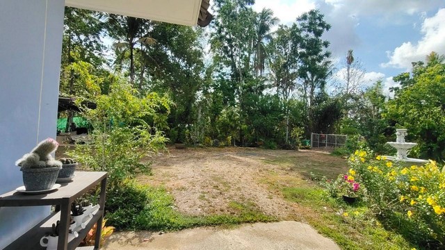 ขายที่ดินพร้อมบ้าน 1 ไร่ 53 ตารางวา  ตำบลนาบินหลา อำเภอเมืองตรัง จังหวัดตรัง