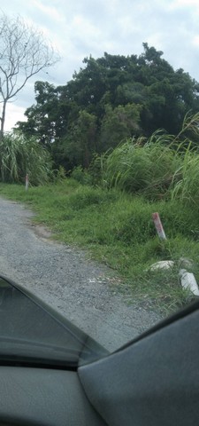 ขายที่ดินทำเลดี   50 ตารางวา เจ้าของขายเอง สัมพันธ์ซอย 20 แขวงโคกแฝด เขตหนองจอก กรุงเทพมหานคร 