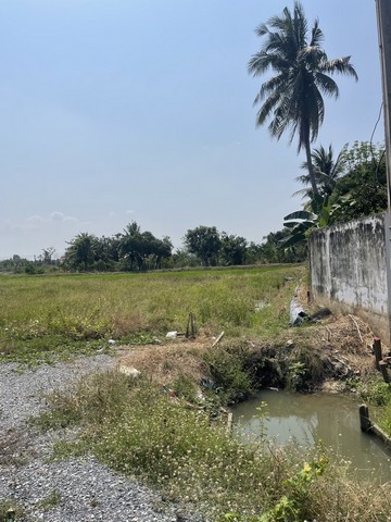 ขายที่ดิน  3 งาน 91 ตารางวา เจ้าของขายเอง  ตำบลงิ้วราย อำเภอนครชัยศรี จังหวัดนครปฐม 