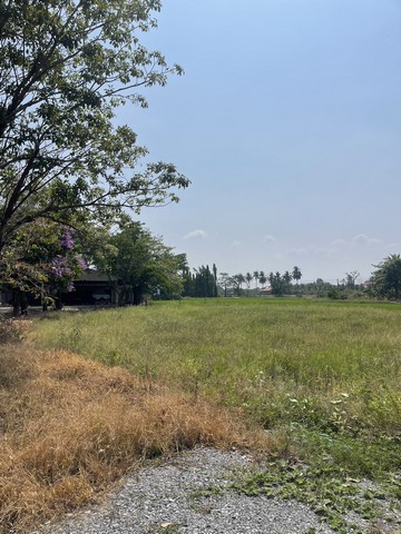 ขายที่ดิน  3 งาน 91 ตารางวา เจ้าของขายเอง  ตำบลงิ้วราย อำเภอนครชัยศรี จังหวัดนครปฐม 